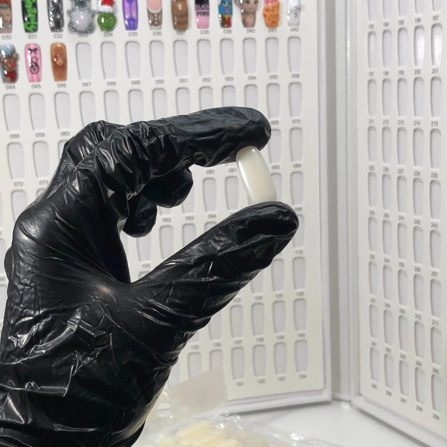 PREORDER Nail Art Bible - Organizer